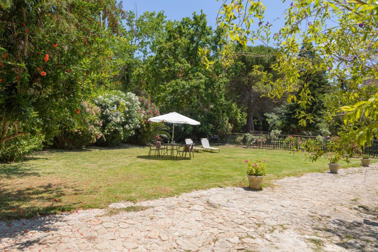 Jianni's - Stone In The Greenery!! *